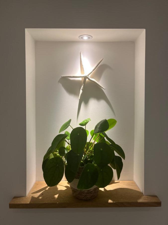 Appartement Van Der Zee Zandvoort Exteriör bild