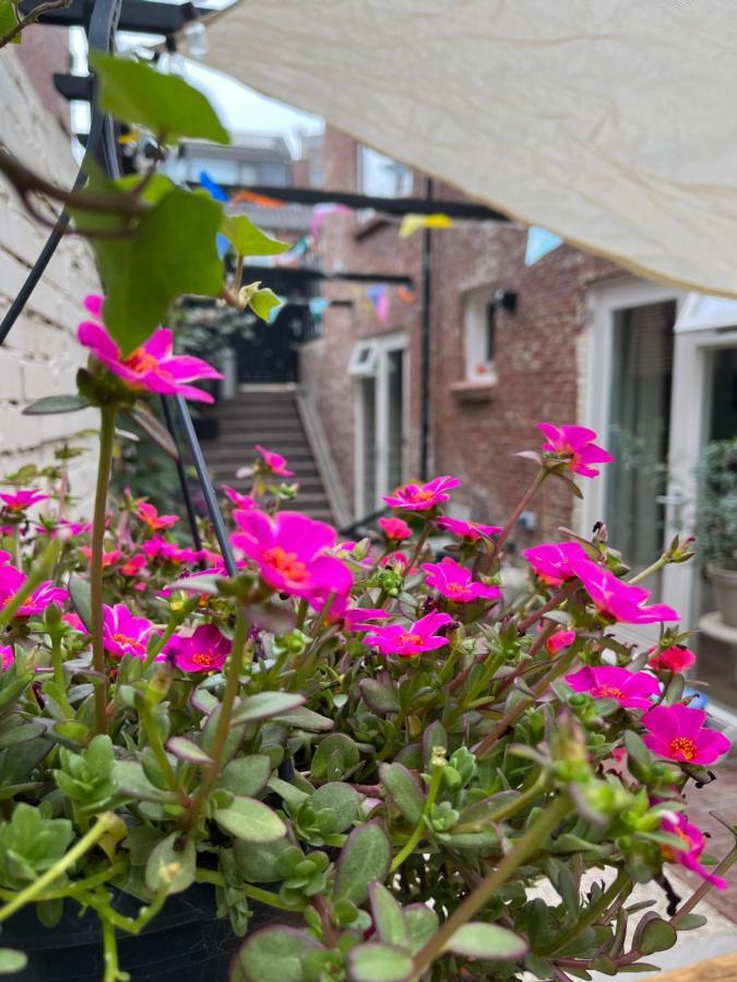 Appartement Van Der Zee Zandvoort Exteriör bild